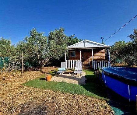 Un Chalet Dans Les Oliviers 3 Nuits Mini Nîmes Kültér fotó
